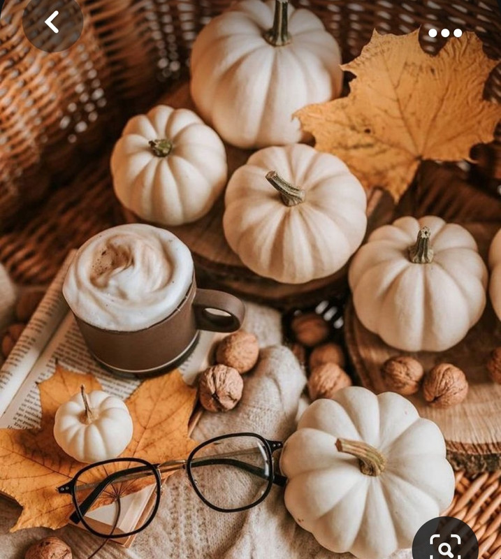 Screenshot_20231031_214948_Pinterest