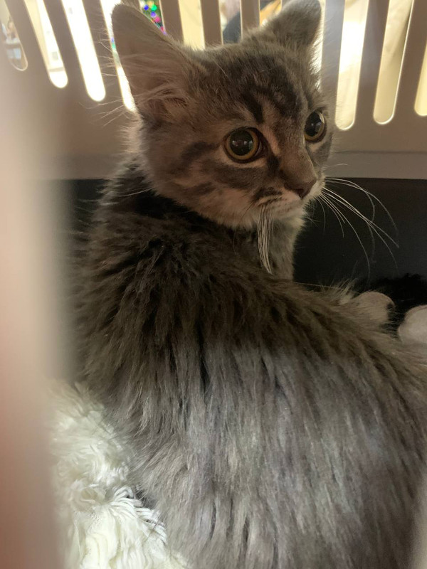 110720DE-3782-4F3E-8252-DEEF90B09127