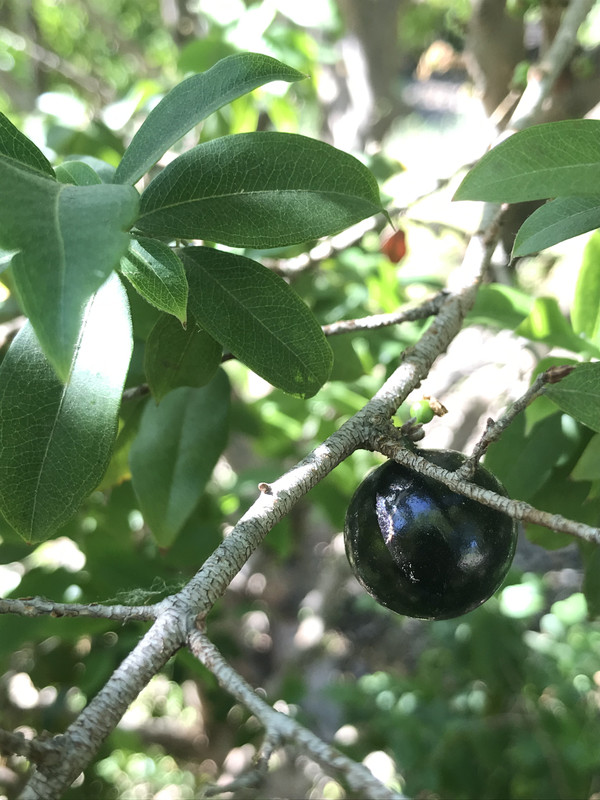 E7467DAA-CBB3-4B47-B4F0-826E34137EE0