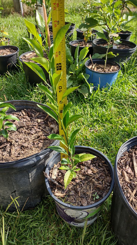 photo_2025-07-23_09-30-08 (3)