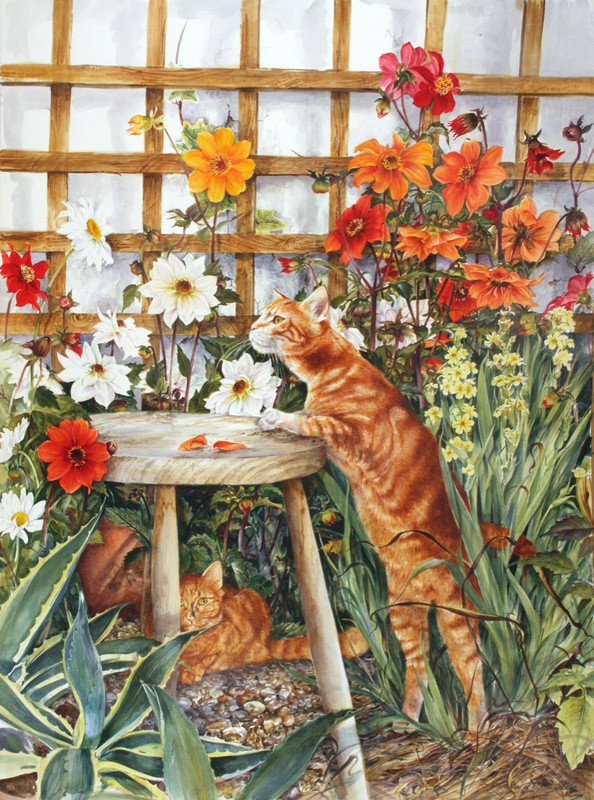 GINGER-CAT-AND-DAHLIAS-1-LF143-1