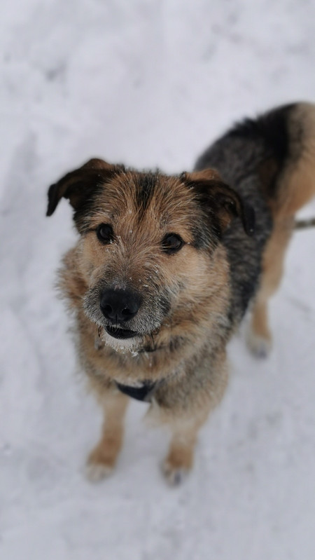 photo 2026 01 29 14 34 04 (2)