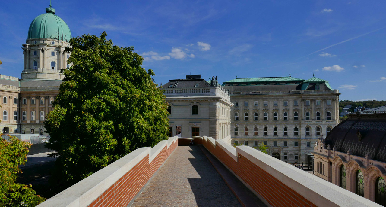 P1380116.jpg