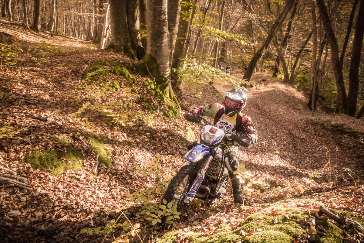 Translyvania Enduro Tours