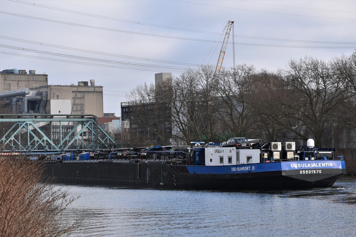 2021.02.27a4 Urs. Valentin