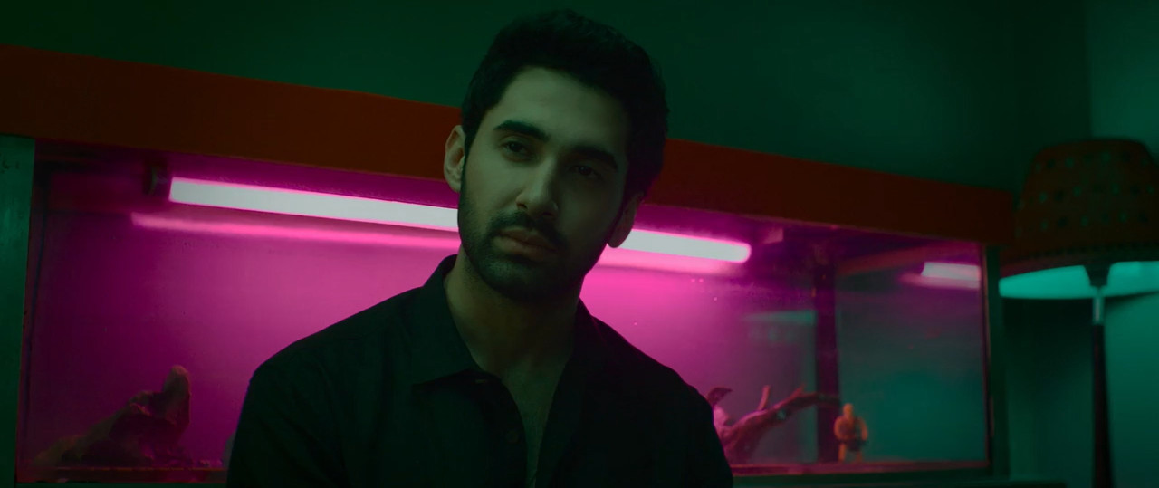 Chand Mera Dil 2026 WebRip [Hindi] 480p 720p ESub Screenshot