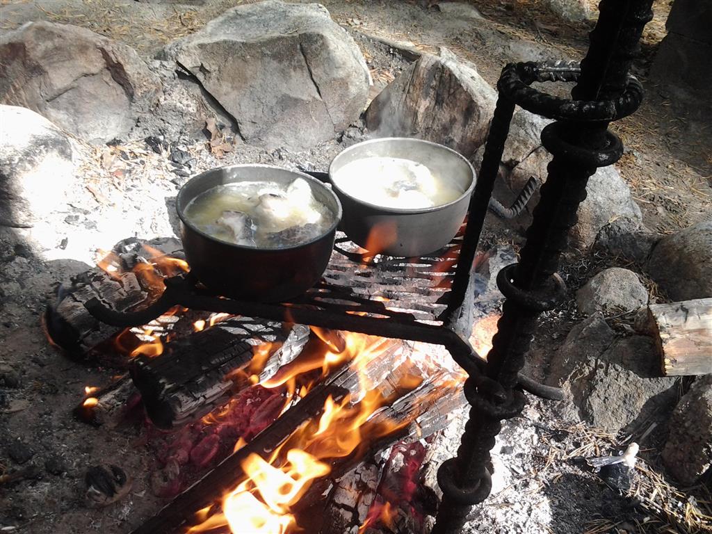 2014-08-14 13.16.54 (Medium)