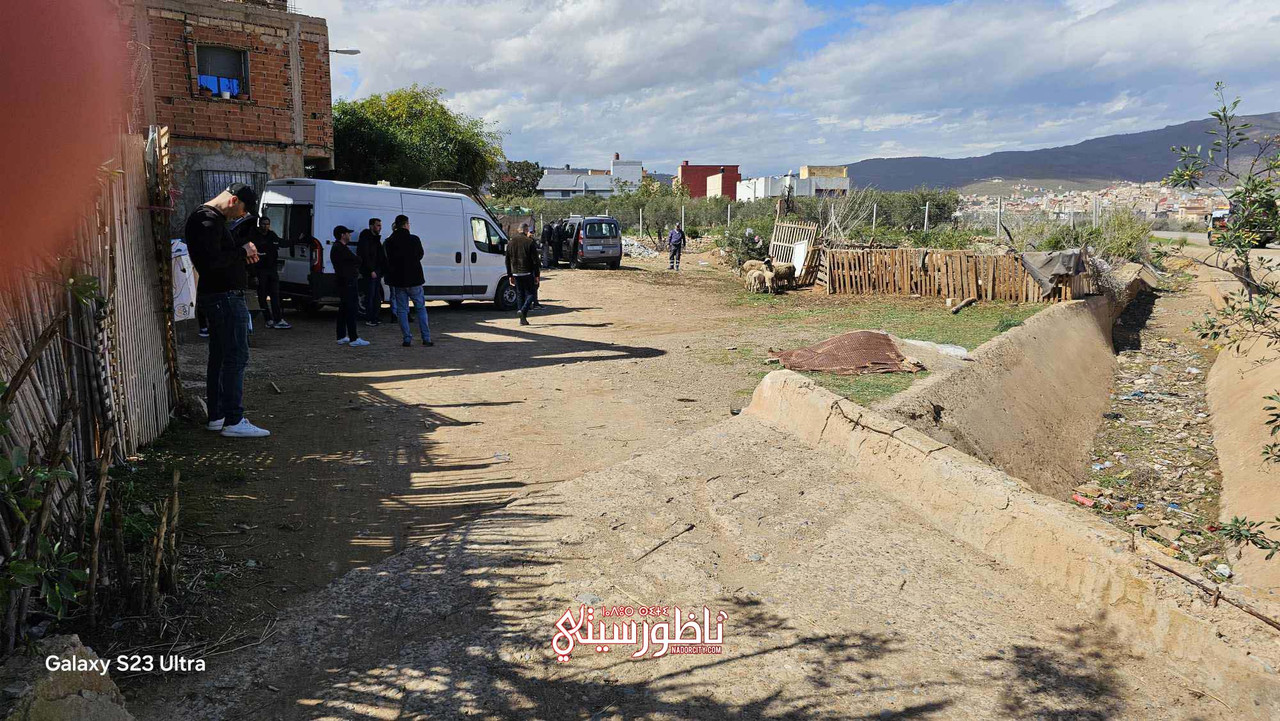 476496552-665507855943885-6028479206846521846-n