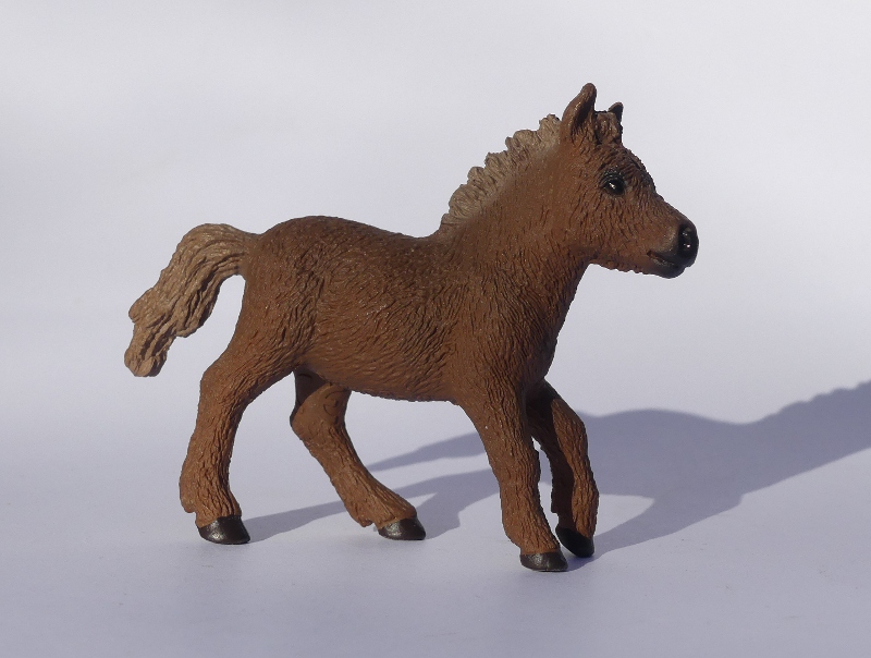 Pictures for Toy Animal Wiki - Page 16 TAWAdvent-Foal