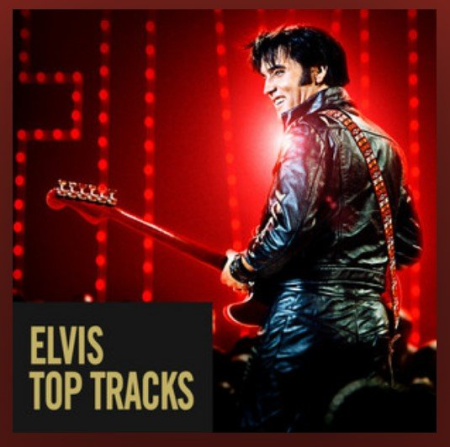 Elvis Presley   Top Tracks [Playlist Spotify] (2020)