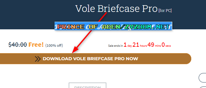 2021-08-04-13h11-41.png