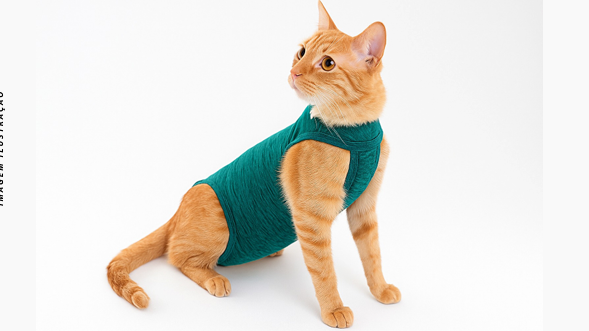 Produto FS Moda Pet 4