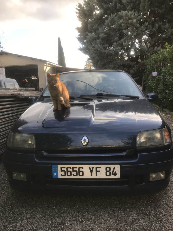 6B6E8C8F-23B2-4C8C-B250-FD9400B4491C