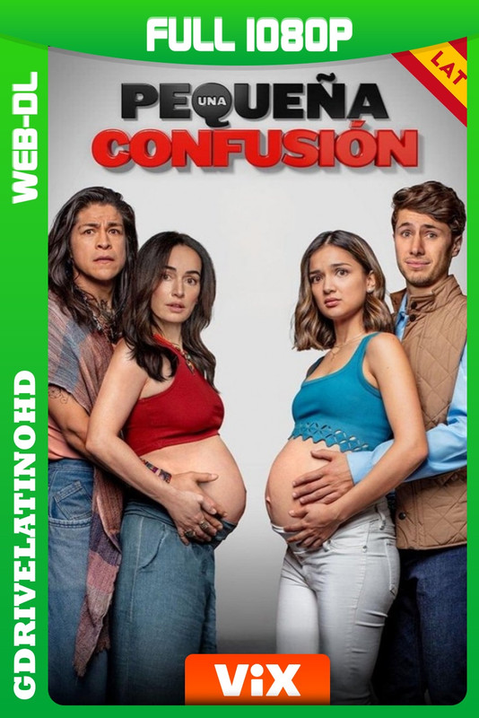 Una pequeña confusión (2024) WEB-DL 1080p Latino