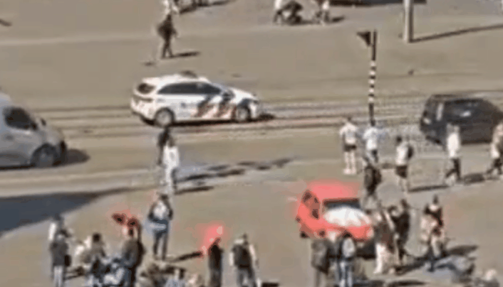 alleduivenopdedam.gif