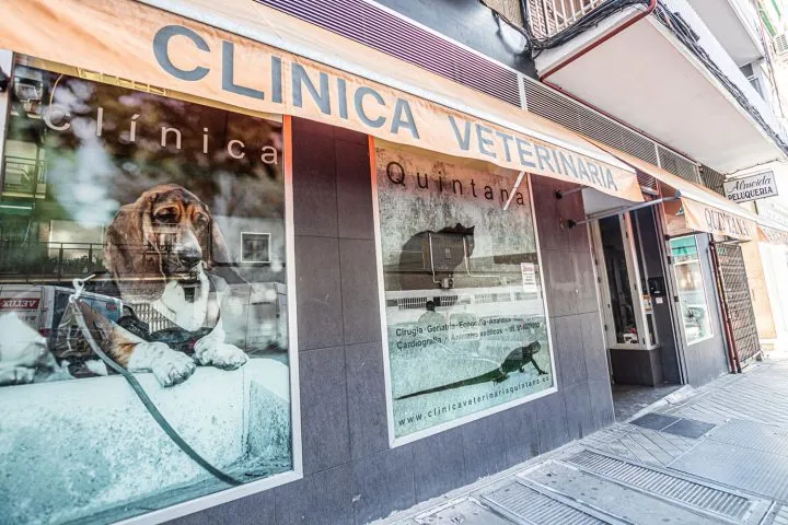 Clínica Veterinaria Quintana