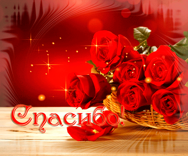 0E8FD961-EC5B-4550-BE36-8B2C824704E0-44017-00002