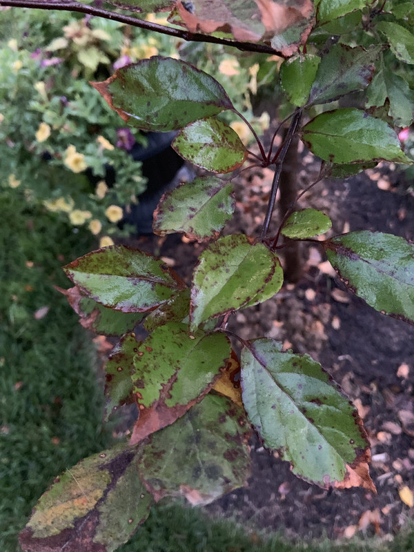 7E3189CE-CC5E-4221-96E3-CC1C2FB245C6