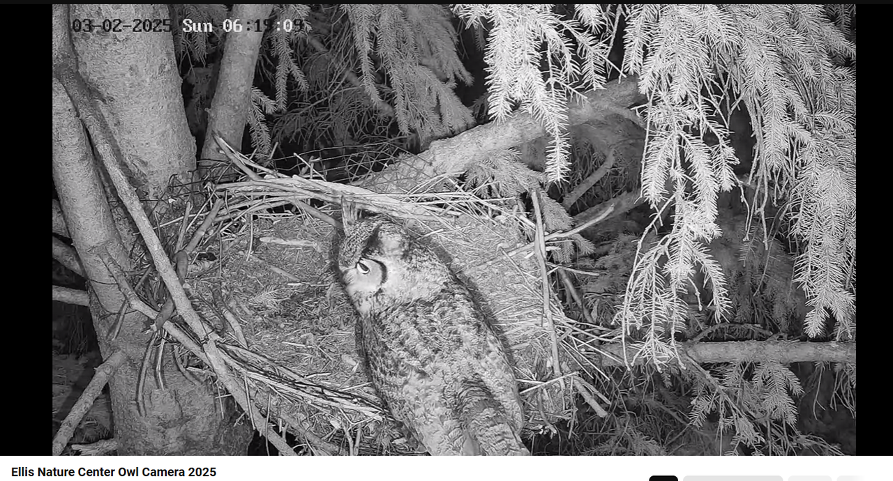 Ekrānuzņēmums 2025-03-02 184217