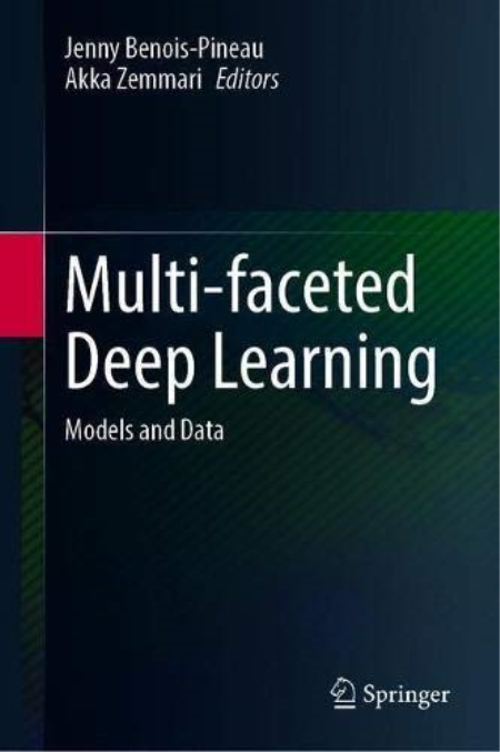 Multi-faceted Deep Learning: Models and Data