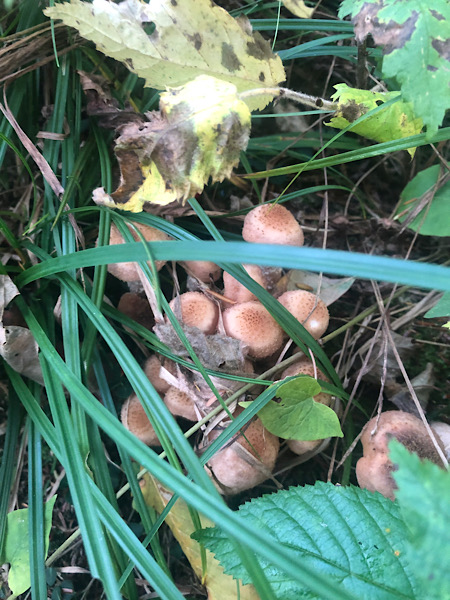 AD44006A-C95D-4240-87E1-18581ED28F76