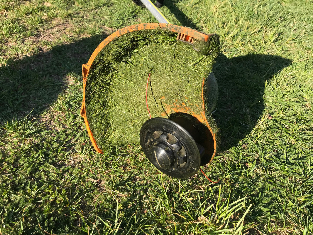 stihl3