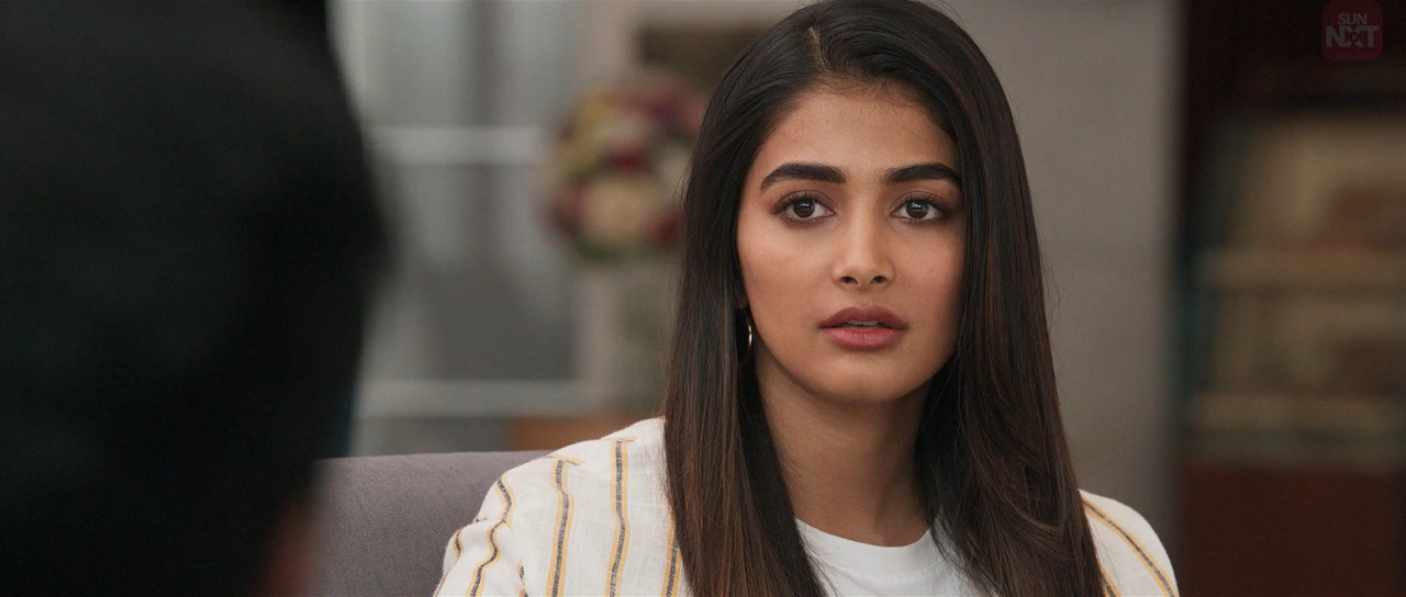 Ala Vaikunthapurramuloo 2020 WebRip [Hindi + Tamil + Telugu + Malayalam + Kannada] 480p, 720p, 1080p ESub Screenshot
