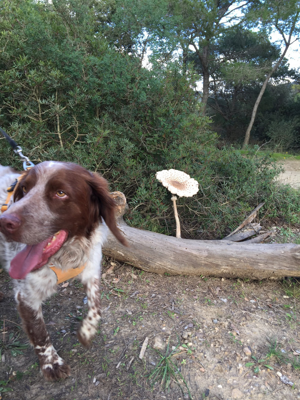 353CB065-5DDB-4270-A337-65E6EE17A413