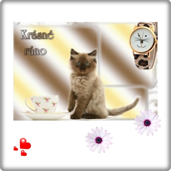 An den Beitrag angehängtes Bild: https://i.postimg.cc/MH91wKN1/ok.jpg