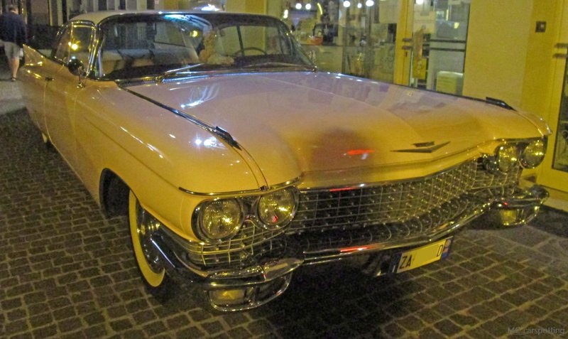 IMG-4594.jpg