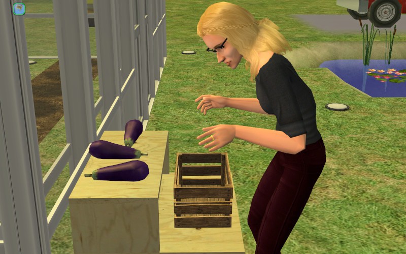 Lakewood-round5-287-800x500