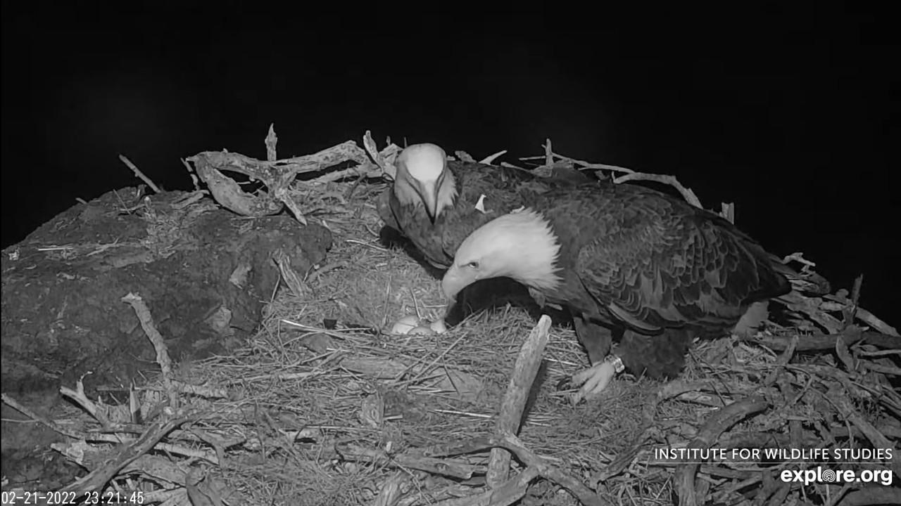 AC3D436F-FAB8-4B64-B2C3-B915055CAF31