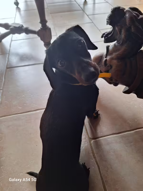 [Image: 20241106-134424.avif]