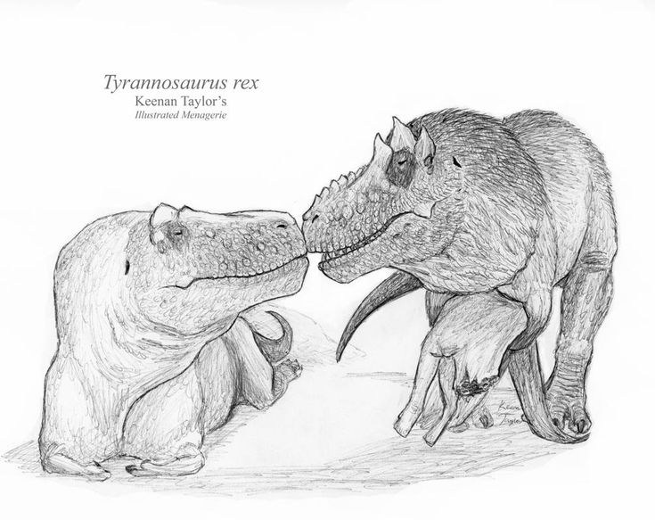 c9241c45c96161cca1c6a6c5c81a75f8