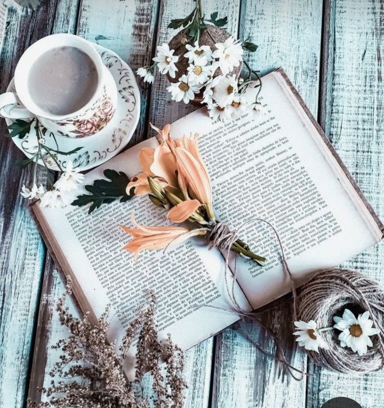 Screenshot_20230913_181156_Pinterest