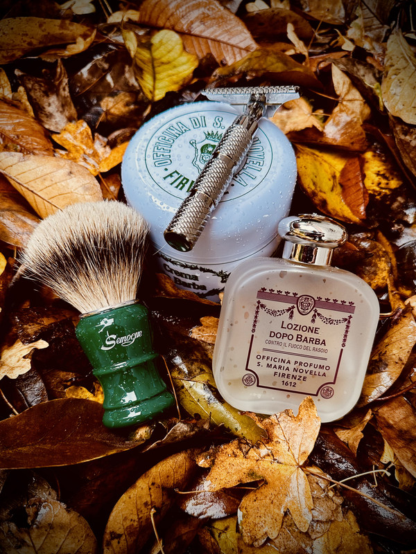 SOTD_20231111.jpg