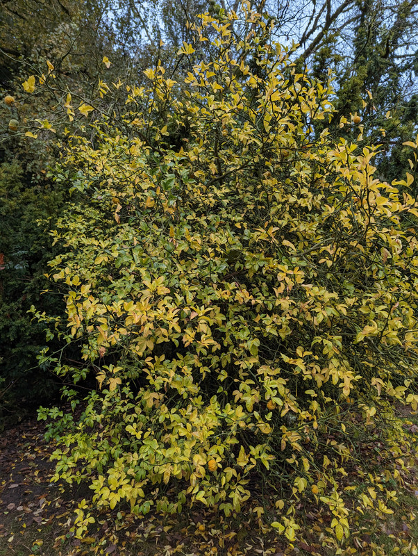 PXL_20221123_235044804