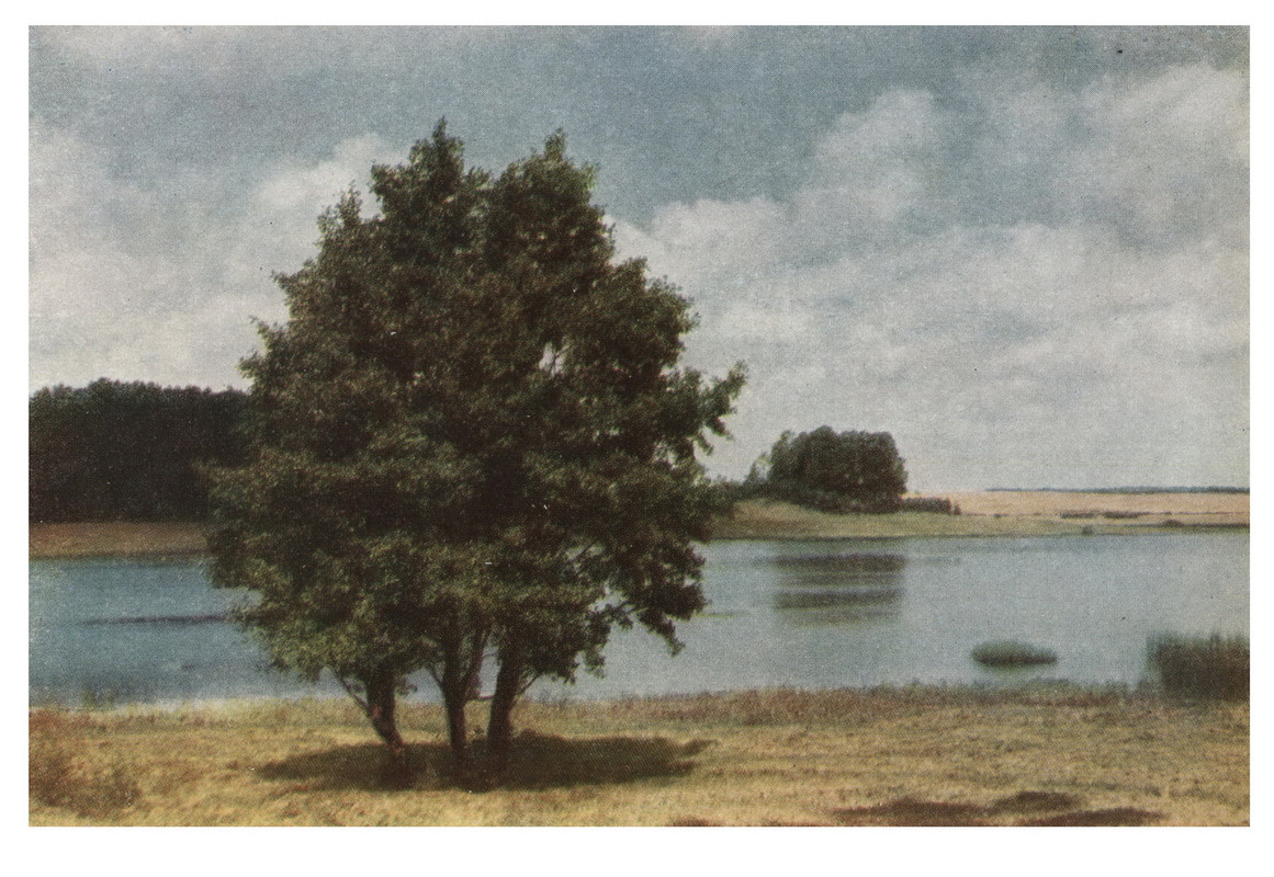 1964.наб.П.з-ник.№6