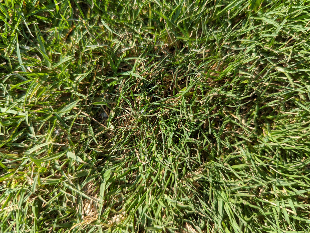 PXL_20220519_135859480