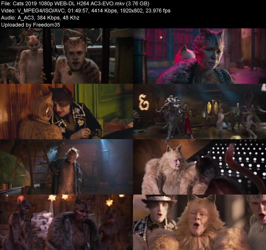 Cats-2019-1080p-WEB-DL-H264-AC3-EVO.jpg