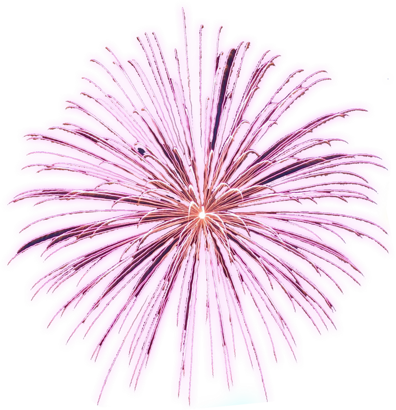 1 (11)