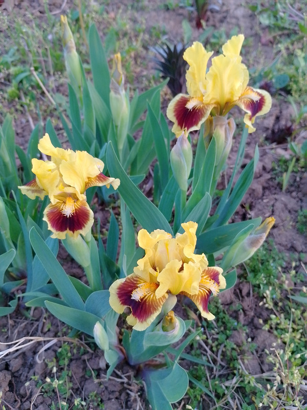 IMG_20240403_193636_HDR