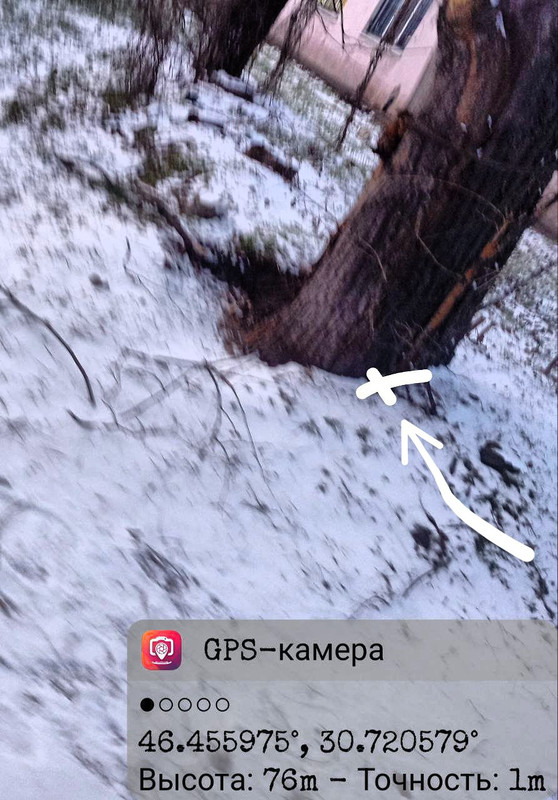 photo 20 2026 01 15 23 28 12
