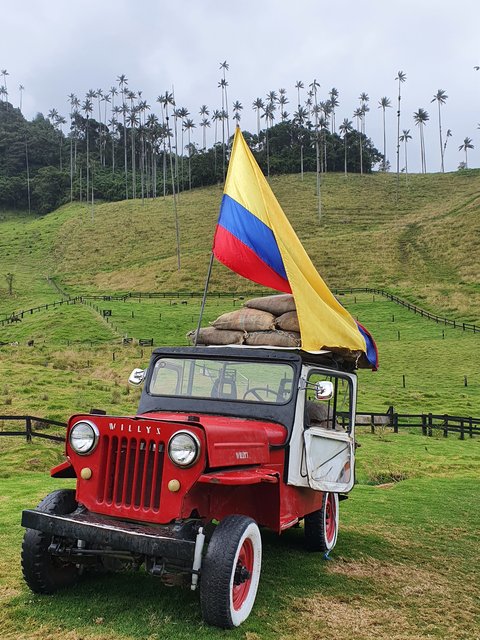 DIA 4: EL VALLE DE COCORA - Colombia y Curaçao Verano 2022 (4)