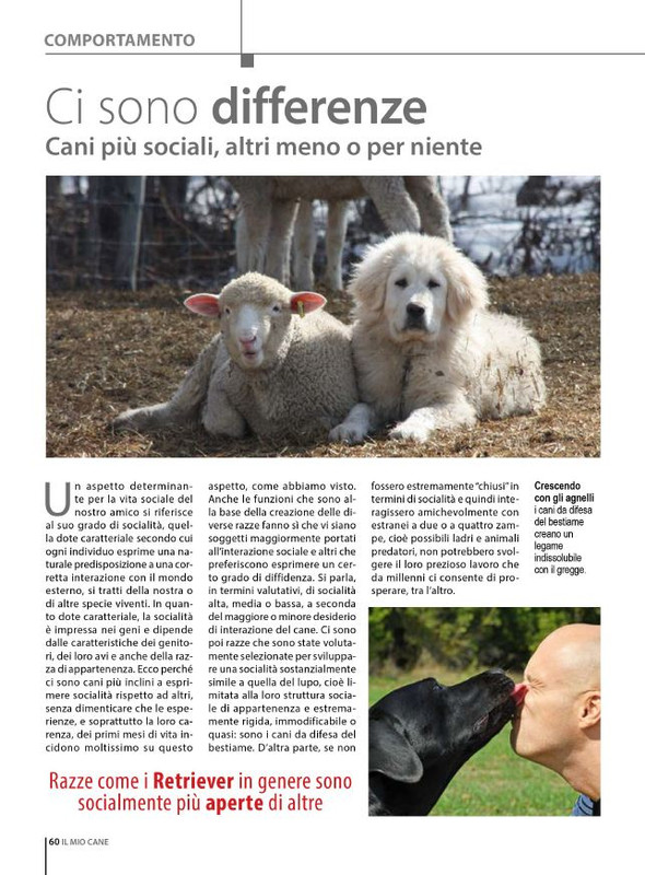 Il M C Mag-Giu 2024 (7)