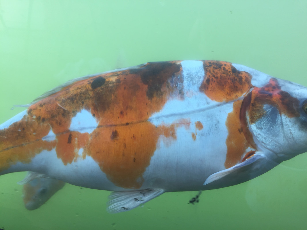 6C45562C-4FB6-495B-B55D-D382B2908E82