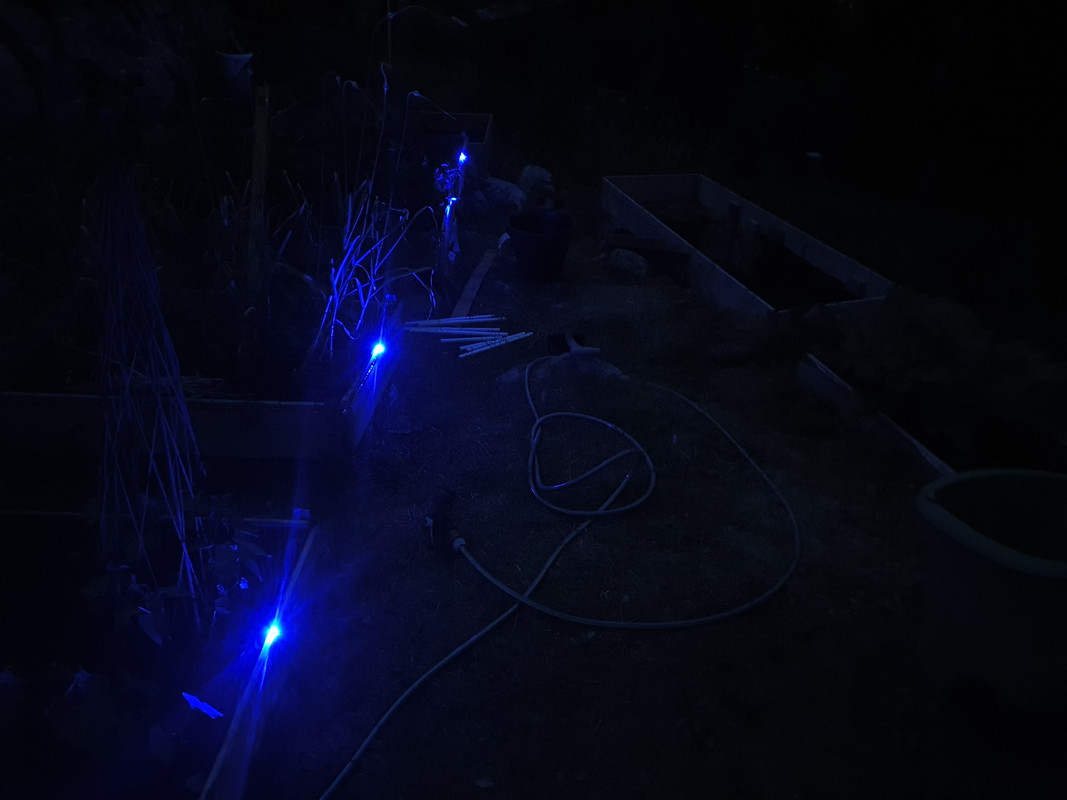 20210719-231110.jpg