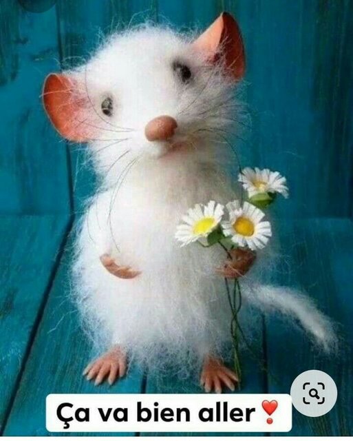 [Image: r-tablissement-9.jpg]