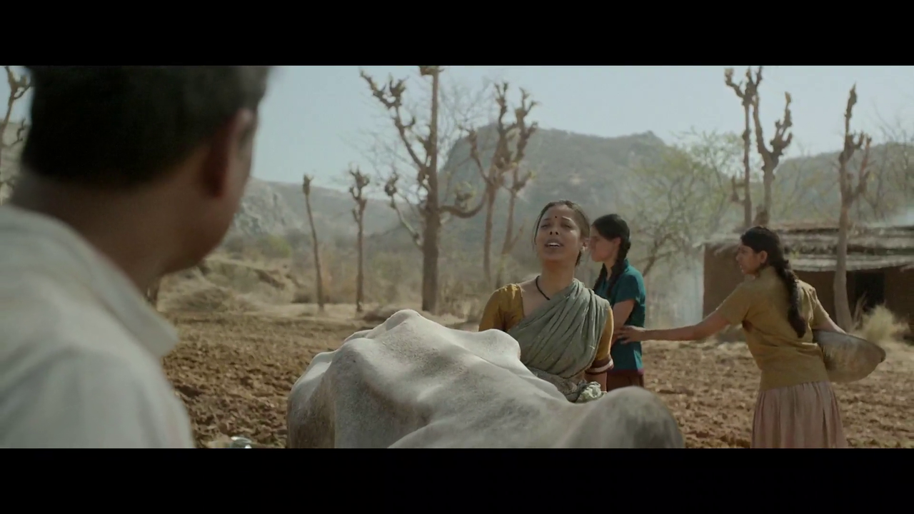 vlcsnap-2025-05-24-13h35m46s452