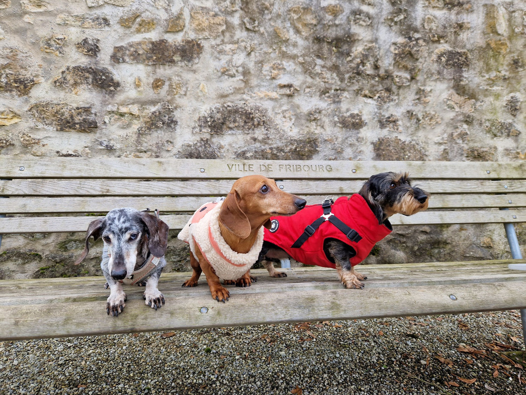 [Image: 20241201-110655.jpg]